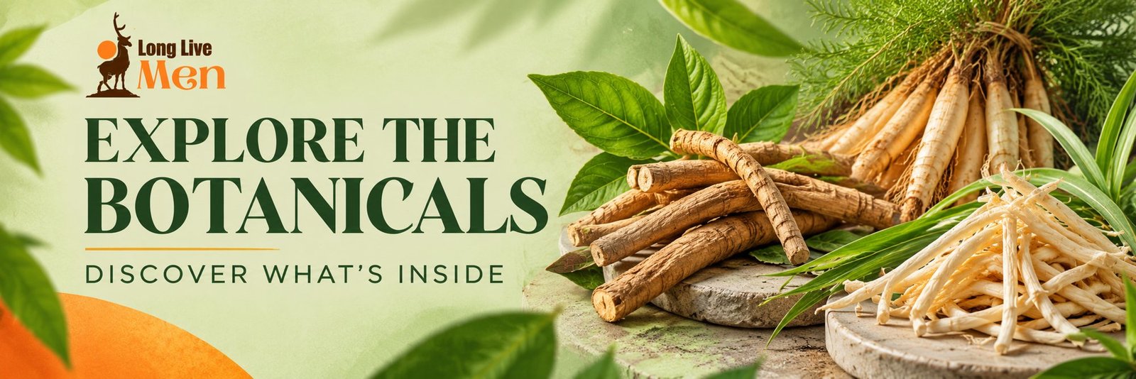 Explore the botanicals — discover what's inside